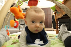 WES 1