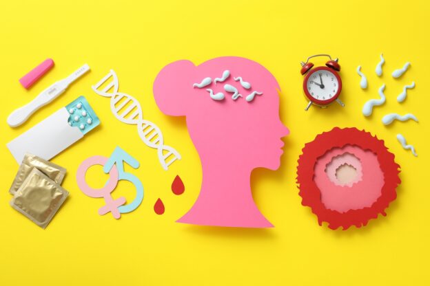 what to expect during IVF stages